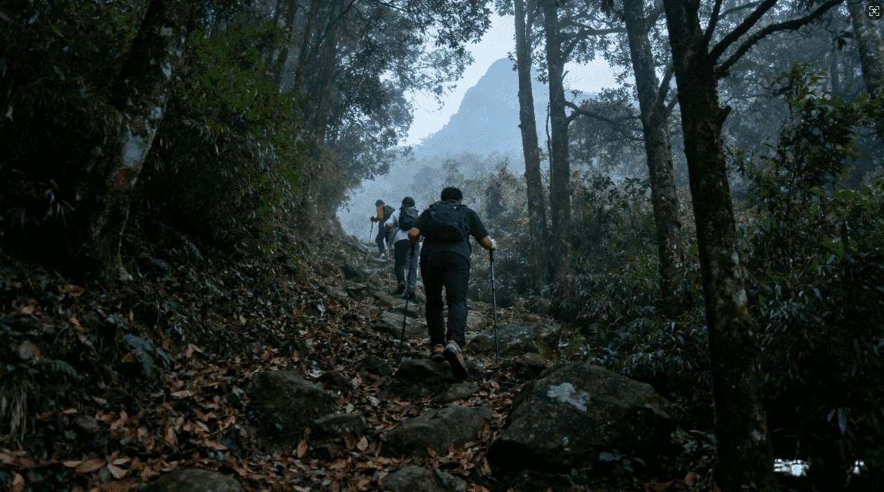 破解版加速器旋风软件下载及使用技巧